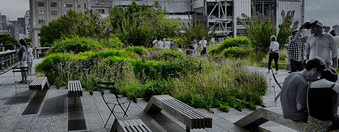 A lush city rooftop